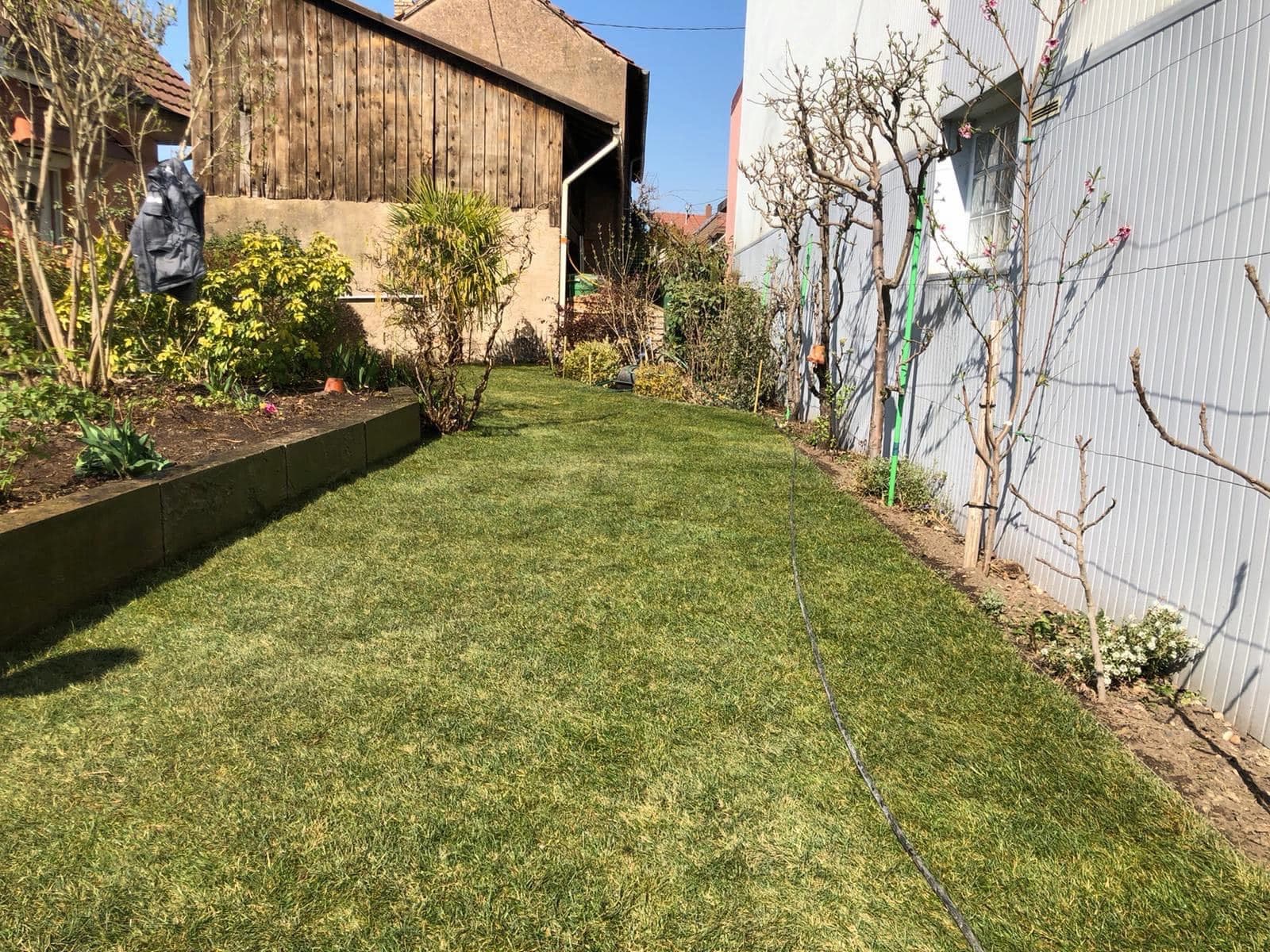 Travaux d’am&eacute;nagement ext&eacute;rieur et engazonnement &agrave; c&ocirc;t&eacute; de Strasbourg et Bischwiller Illkirch-Graffenstaden 1