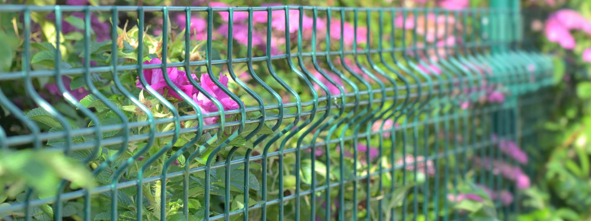 Comment choisir la hauteur id&eacute;ale de sa cl&ocirc;ture pour plus de s&eacute;curit&eacute; et d&rsquo;intimit&eacute; ? Wissembourg